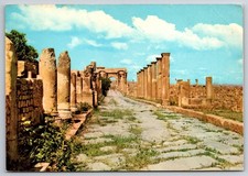Vtg Postcard Timgad Duci Magnus Maximum Ruins Algeria Unposted