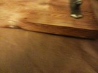 Bild 11 von 19