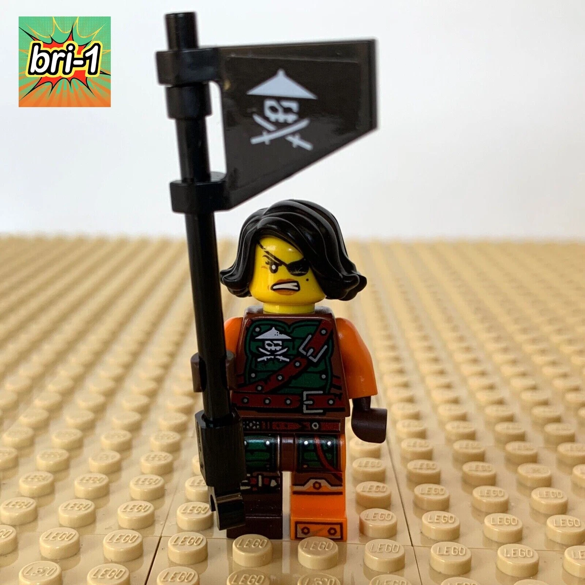 Ninjago skybound episode 1 new arrivals