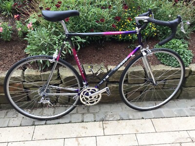 colnago master piu Rh 60 ,Campagnolo Centaur ,Record Naben ,90er Ikone