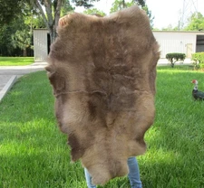 Grade B Arctic Reindeer throw skin (No Legs) fur pelt taxidermy #50564