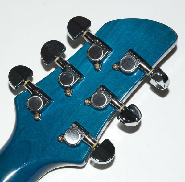 Used FERNANDES APG-55S Blue-ish Took Sustainer Off 3.1kg W