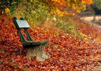 Herbstbank Wandbild Poster - Nature's Tranquility Premium Qualität