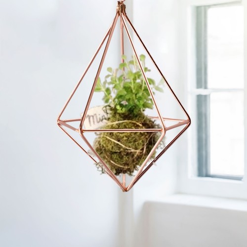 Rustic Hanging Metal Geometric Tillandsia Air Plant Rack Himmeli Holder Pot - Picture 4 of 36