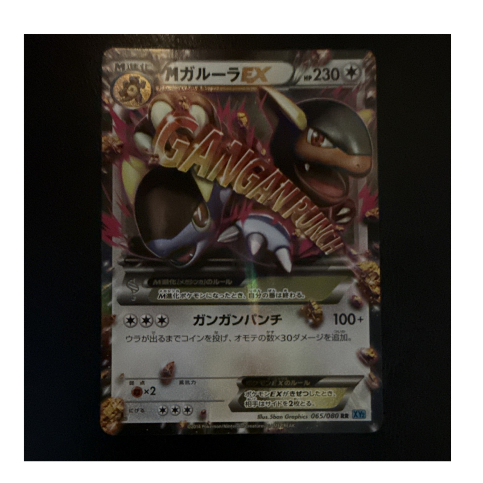 M Kangaskhan EX 065/080 XY2 Wild Blaze Holo Double Rare 230 HP Pokémon TCG JP