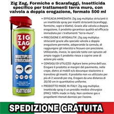 Zig Zag Formiche E Scarafaggi, Insetticida Specifico per Terra e Muro 500 Ml