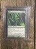 *GILT-LEAF ARCHDRUID* - Morningtide : MTG Magic The Gathering - Single Card : NM