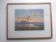 PETER SCOTT 'Whitefronts On Floodwater' Framed Vintage Print, Medici Society Ltd