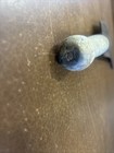 Bild 6 von 15