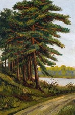 Adolf Hitler: Tree at a Track 22x30 Archival Quality Fine Art Print