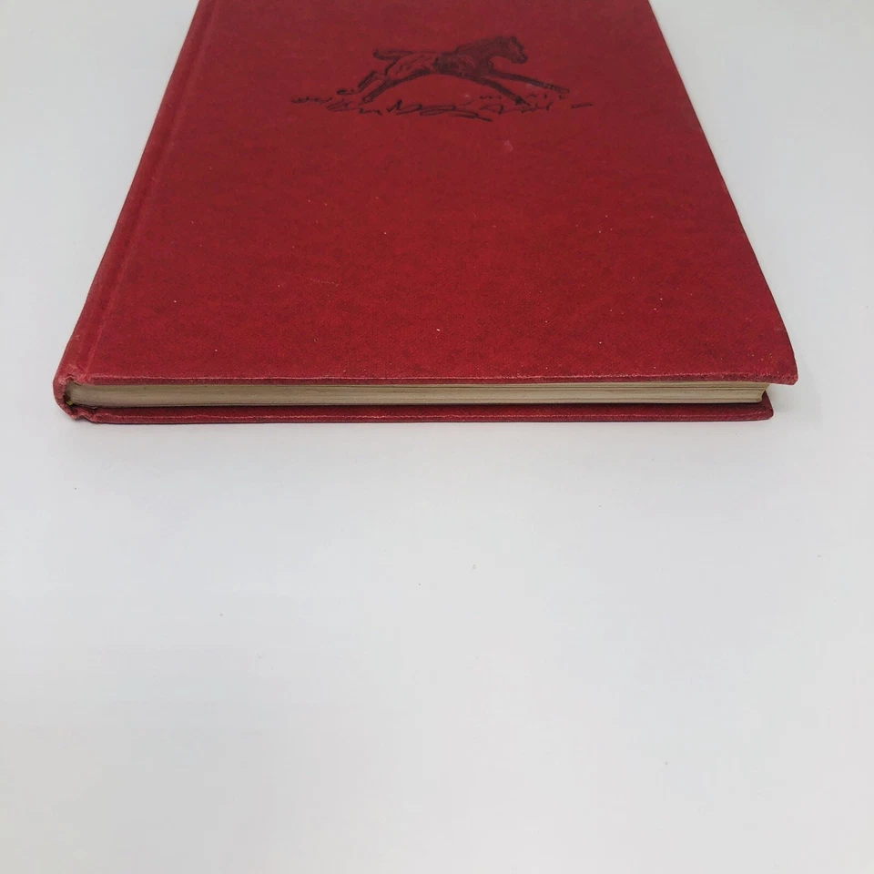 PONY SCHOOL (Die Schule der ganz kleinen Pferde) German Edition PAUL BROWN - Image 3 of 4