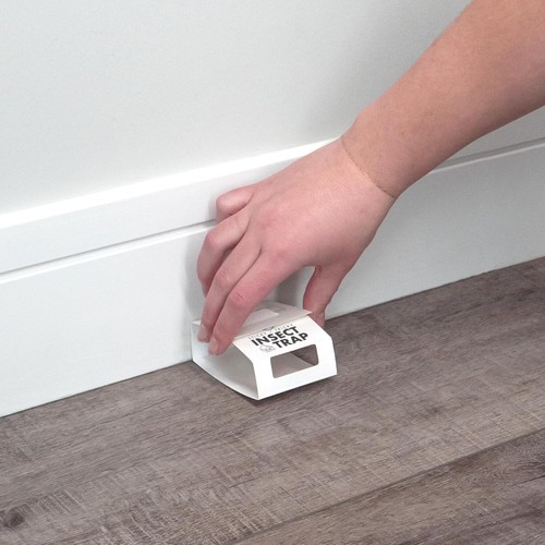 Easy Setup Glue Trap Pack of 30 - Ideal for Home and Utility Pest Control - Picture 6 of 8