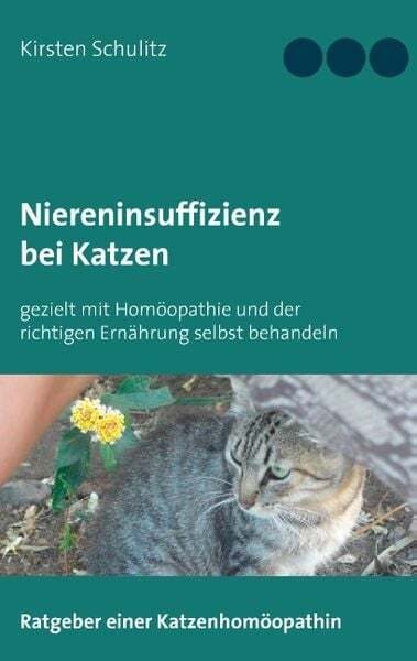 Niereninsuffizienz Bei Katzen