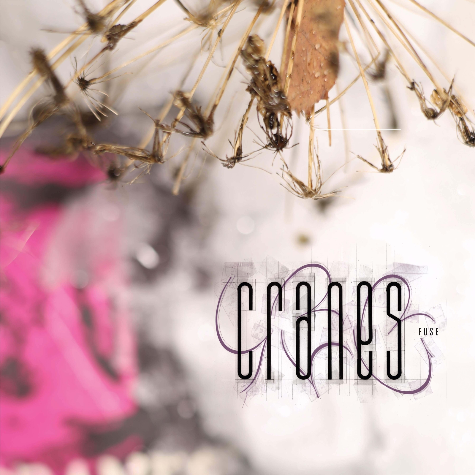 Cranes Fuse (CD) Album
