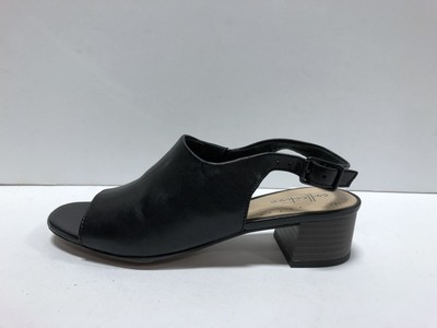 elisa kristie clarks