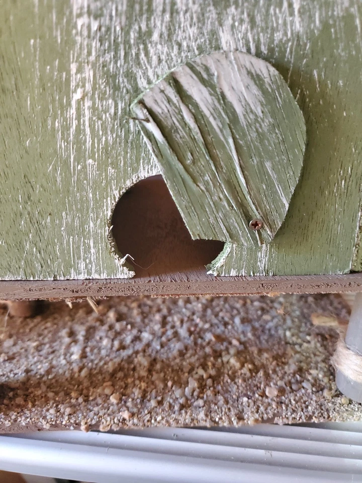 NEW- SongBird Valley Bird House- Fishing Pier - Image 4 of 4