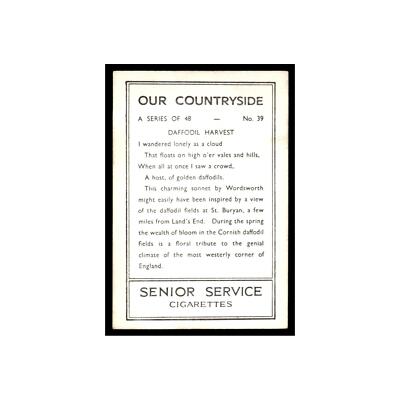 Daffodil Harvest 1938 Senior Service Cigarettes Our Countryside #39 EX
