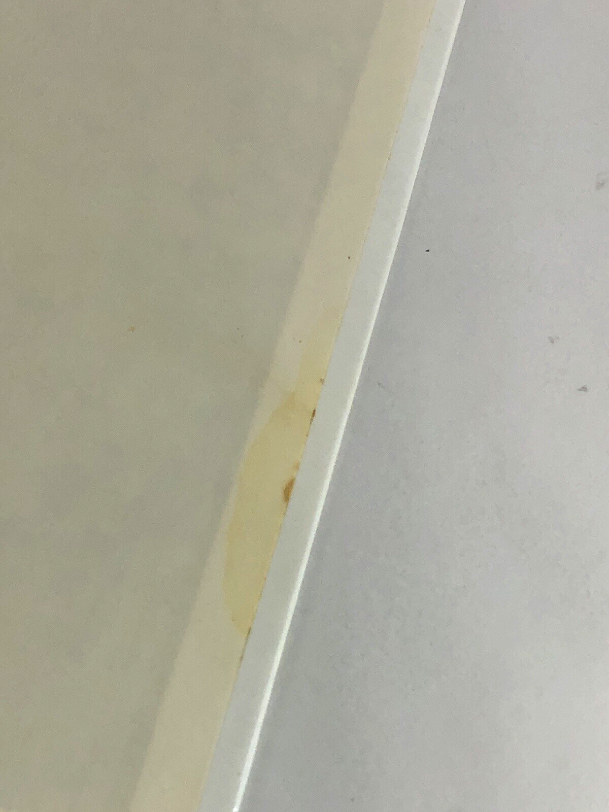Picture 12 of 13