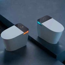 HOROW Smart Bidet Combo Toilet W/ Art Light 12'' Rough in Auto Open  Close Lid