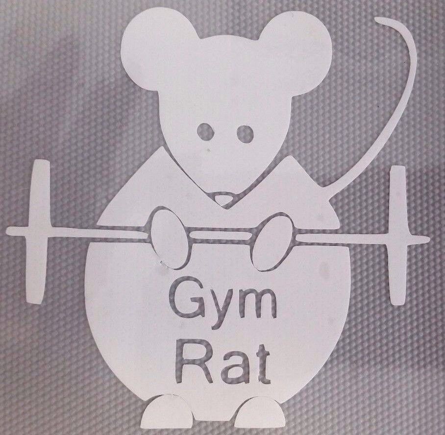 Gym Rats, Gymrats | Sticker