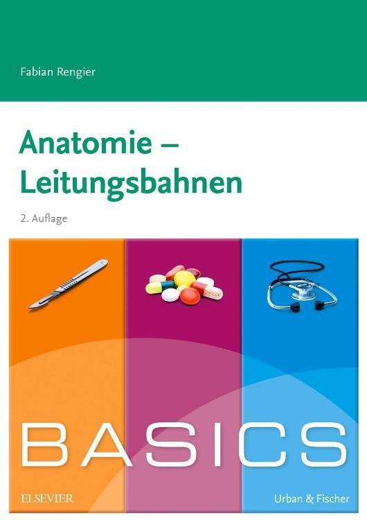 Anatomie - Leitungsbahnen Fabian Rengier