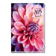 Trötsch Taschenkalender A6 Flowers 2025: Wochenkale... | Buch | Zustand sehr gut