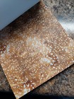 Have a Cozy Christmas 8.5x11 Scrapbook Paper 45 Sheets — photo 4