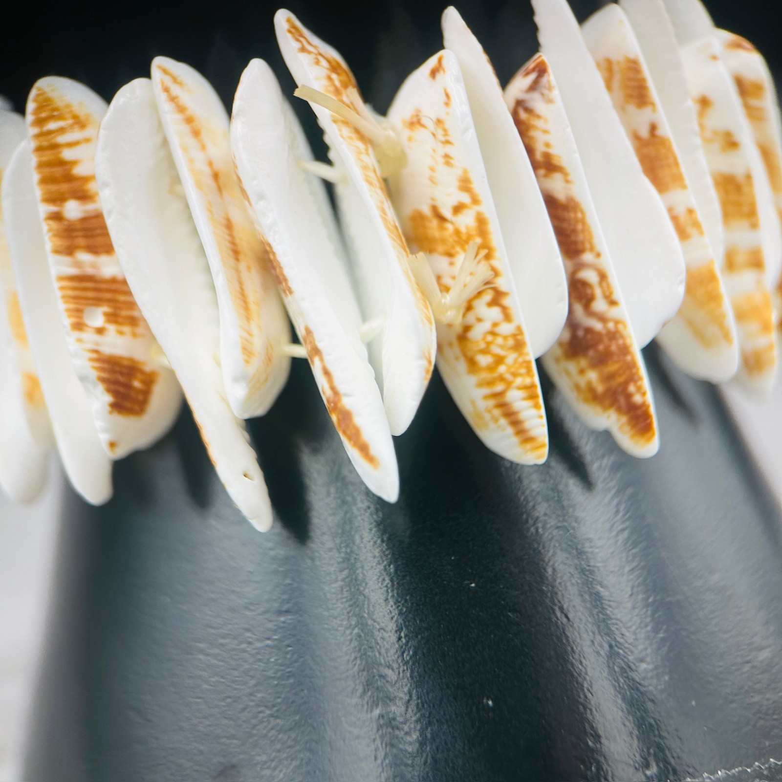 Natural Shell Disc Stretch Bracelet Beachy Boho Summer Style