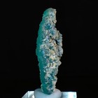 Bild 8 von 8