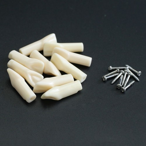 Dientes dentales Kilgore Nissin 200 #11 #21 #16 #26 #36 UR1 UR6 para Typodont M8012 - Imagen 13 de 54