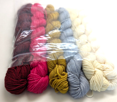 Gradient Sunshine Yarns 6 x 125 yard hanks Classic Sock Gingerbread House Set DO