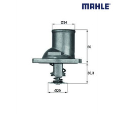 Thermostat Isuzu TROOPER