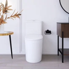 1-Piece 1.1/1.6 GPF Dual Flush Elongated Toilet in White Seat Included
