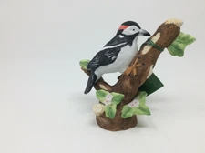 New!  Russ Downy Woodpecker from Nature's Song Collection