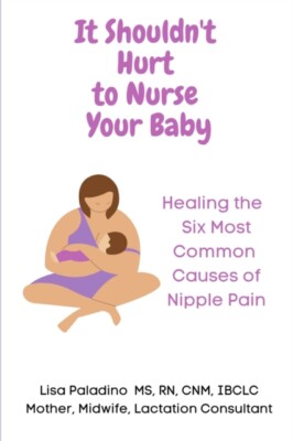 Paladino CNM - It Shouldn't Hurt to Nurse Your Baby  Healing the Six M - X555z