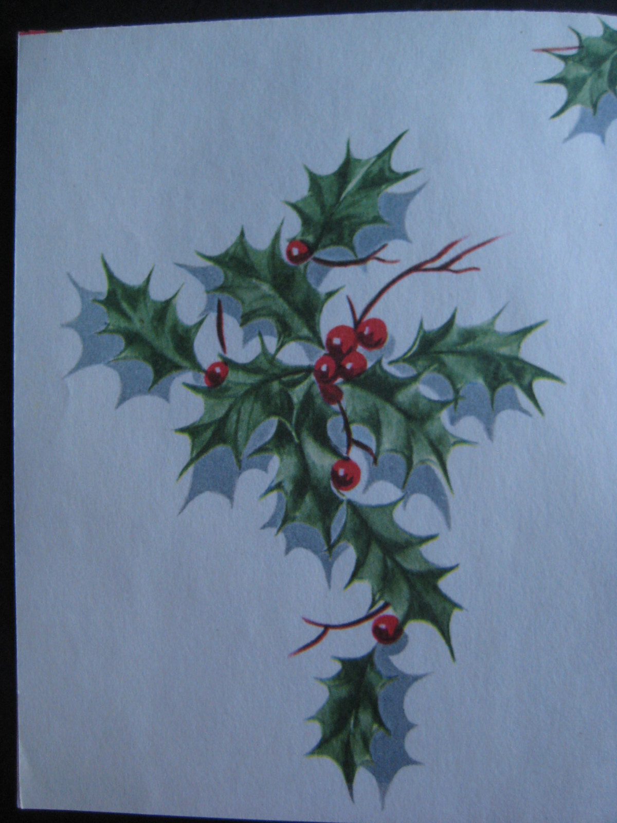 Picture 5 of 12