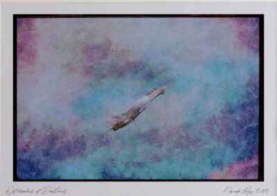 034020 Grumman F 14D Tomcat _ United States Navy Watercolour Picture Ltd Ed A3