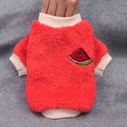 Foto 19 di 28