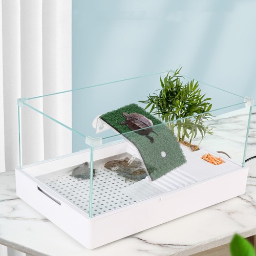 Accessoires lézard tortue habitat tortue points de vente transat plate-forme flottante