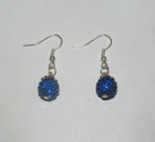 Pair of Blue Earrings NEW