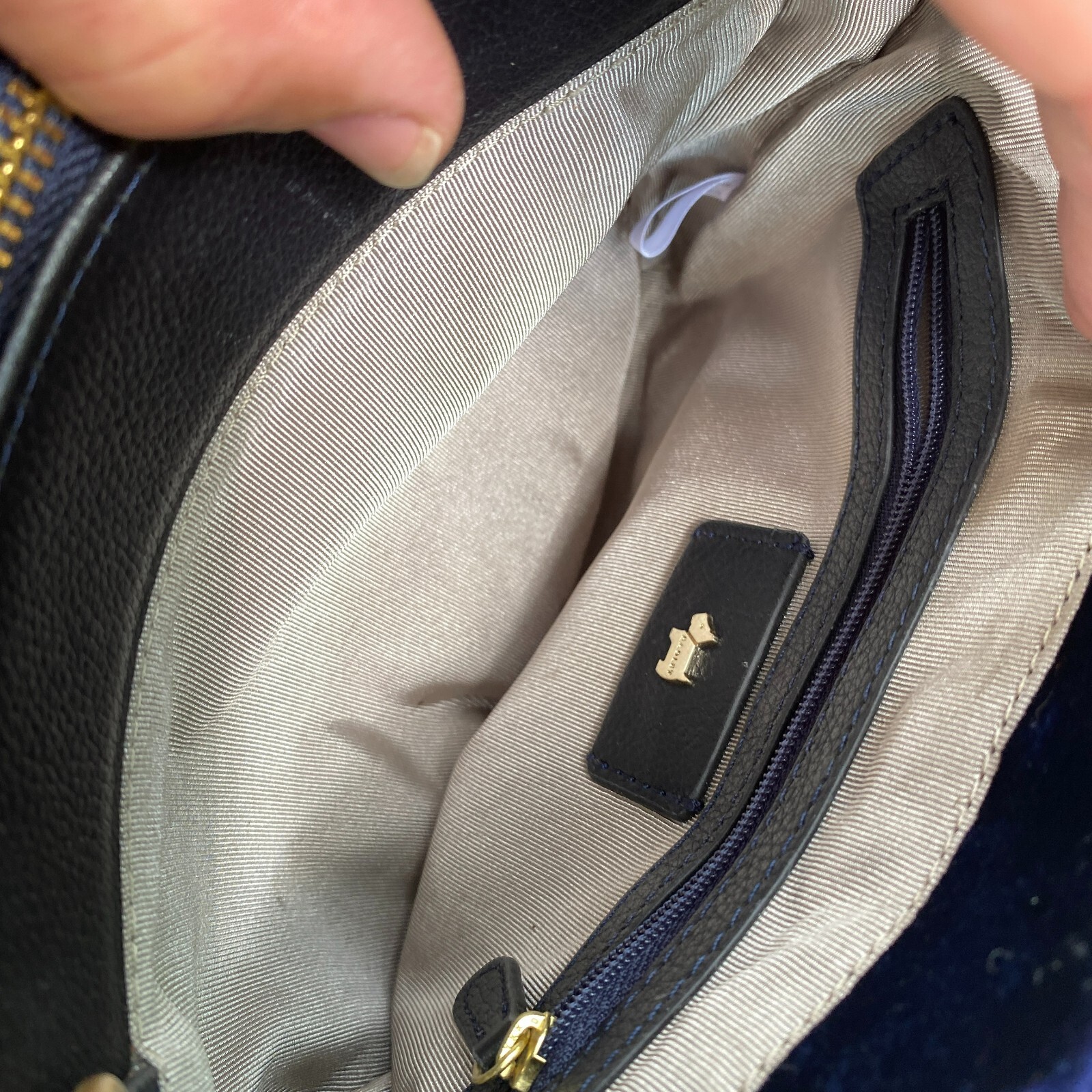 5025546481606 Radley London "arlington Court" Small Zip Top Multiway