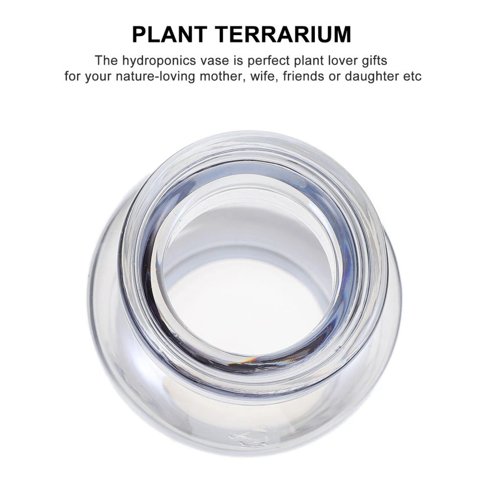  Übertopf Glas Hydroponische Vase Hydroponik -Vase Heimdekoration - Bild 3 von 4