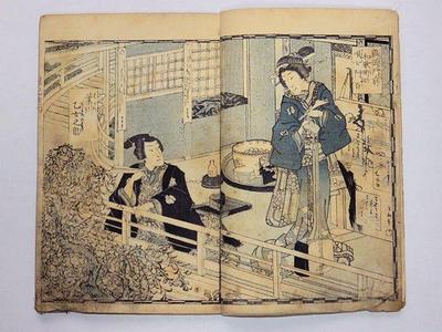 Japanese Ukiyo-e Woodblock Print Book 4-178 Two-volume Utagawa