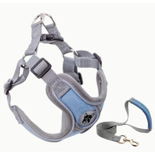 Reflective Dog Harness and Leash Set Enhance Safety and Comfort Adjustable
