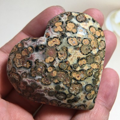 63g Natural Leopard Stone Jasper Love Crystal Mineral Decoration Healing A337