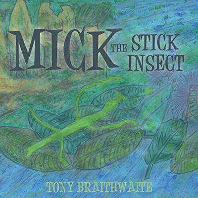 Mick the Stick Insect - Paperback / softback NEW Braithwaite, To 27/08/2020