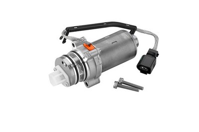BorgWarner DS2002773 Pumpe, Lamellenkupplung (Allradantrieb) für AUDI,CUPRA,SEAT