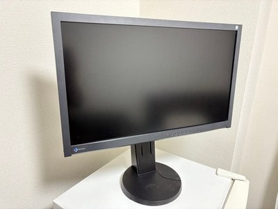 EIZO FlexScan EV2335W 23 Zoll Wide PC Monitor DVI D-Sub DisplayPort