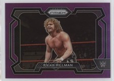 2024 Panini Prizm WWE Purple Prizm 19/149 Brian Pillman #13 t4l
