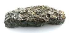 750 Grams Turitella Fossil Cab Cabochon Gemstone Gem Stone Rough TS1